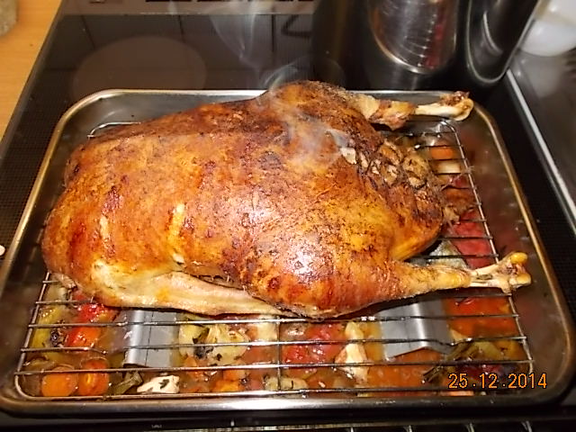 Gans Weihnachten 2014-001.JPG