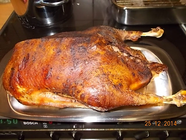Gans Weihnachten 2014-002.JPG