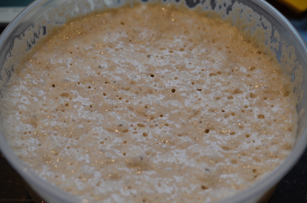 Der hippelige Weizen Vorteig beim Verbacken