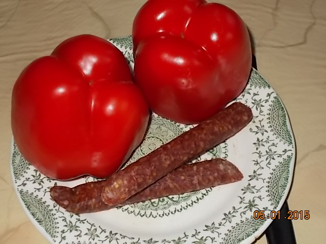 DSCN0372.JPG