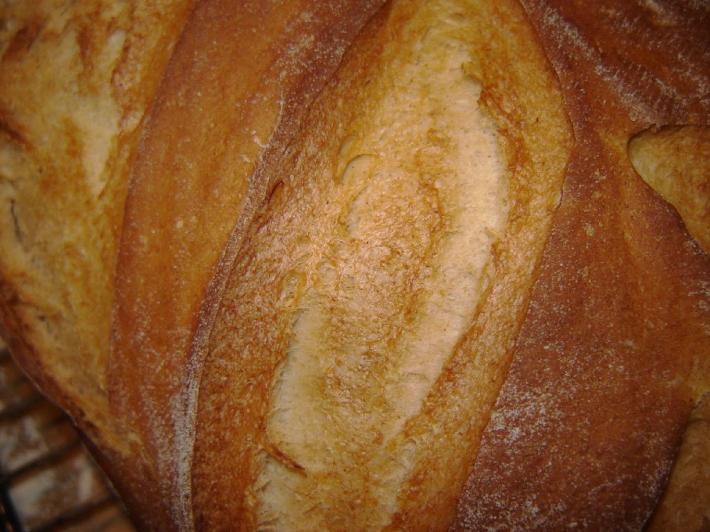 buttermilchbrot04.jpg