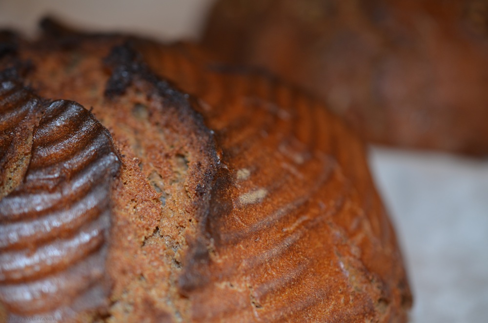 Gewürzbrot1 (2).jpg