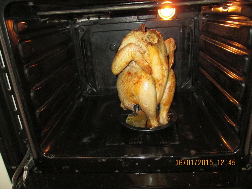 Sitzhähnchen1.jpg