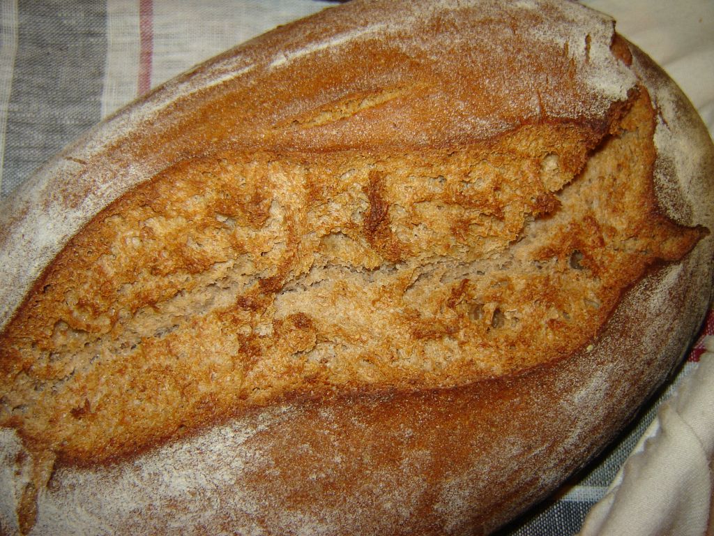 Dinkelvollkornbrot02.jpg