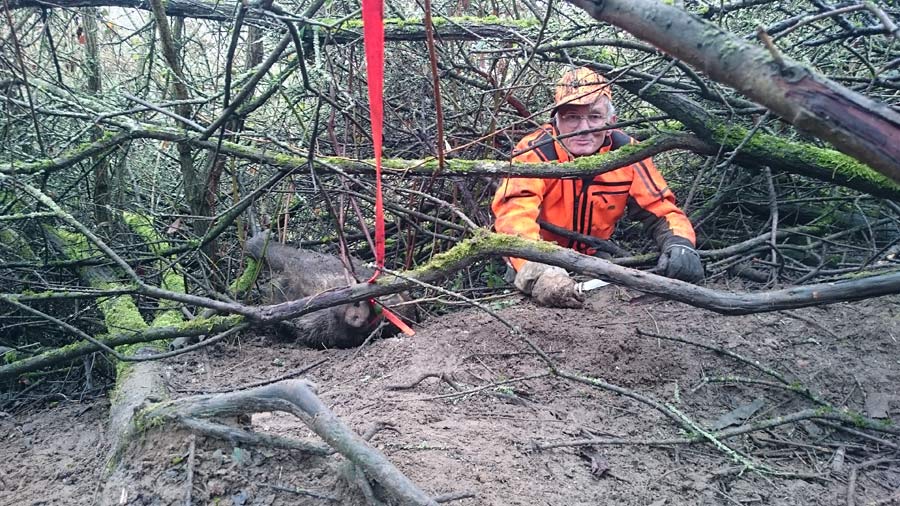 Wolf-Rüdiger Dönitz