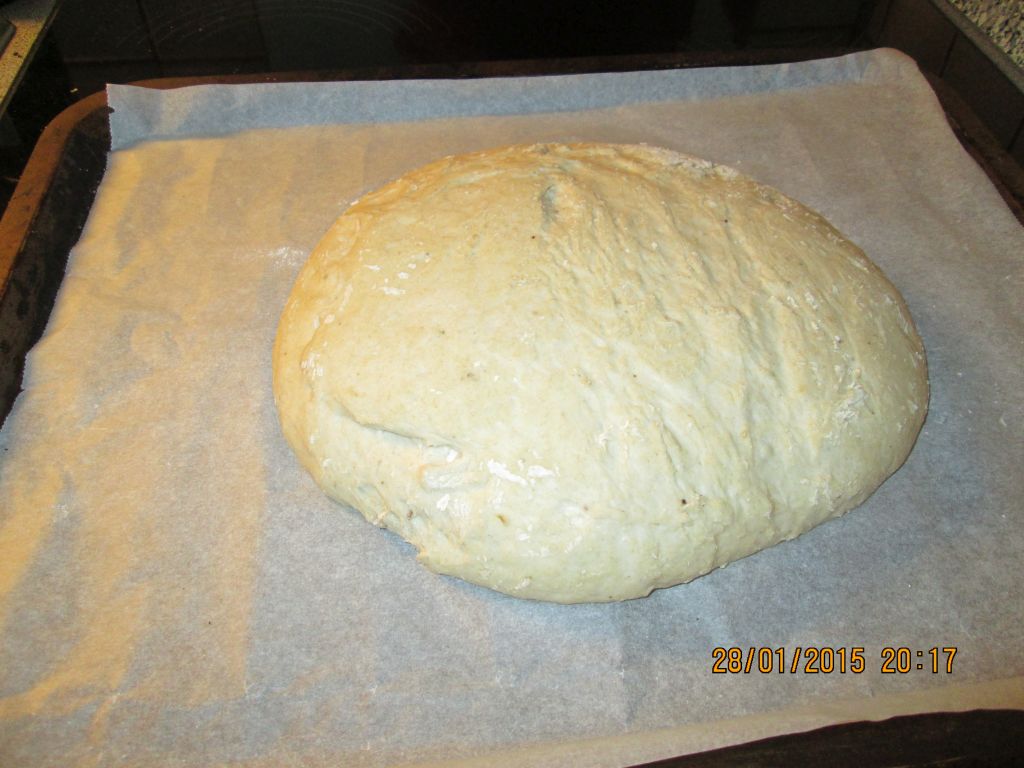 brot aus dem EBO.jpg