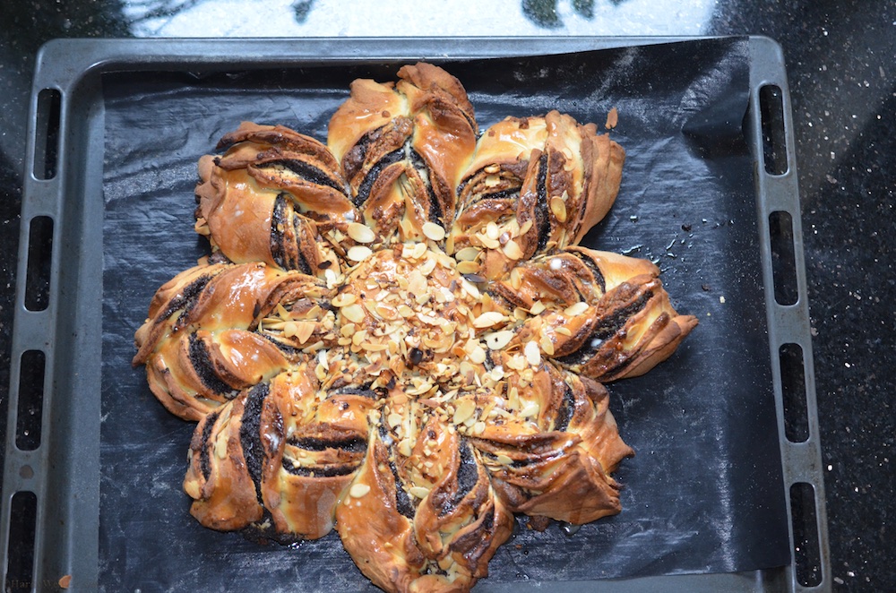 Sonntagswerk Ziegenpeter (1).jpg