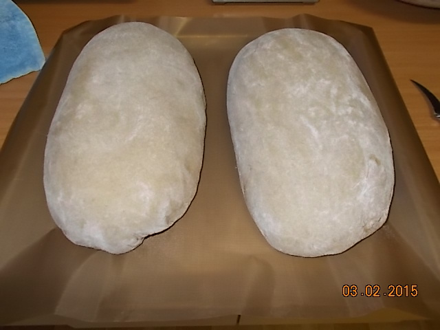 DSCN0459.JPG