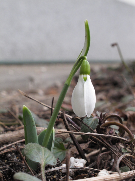 Ich bin schon weiter ...