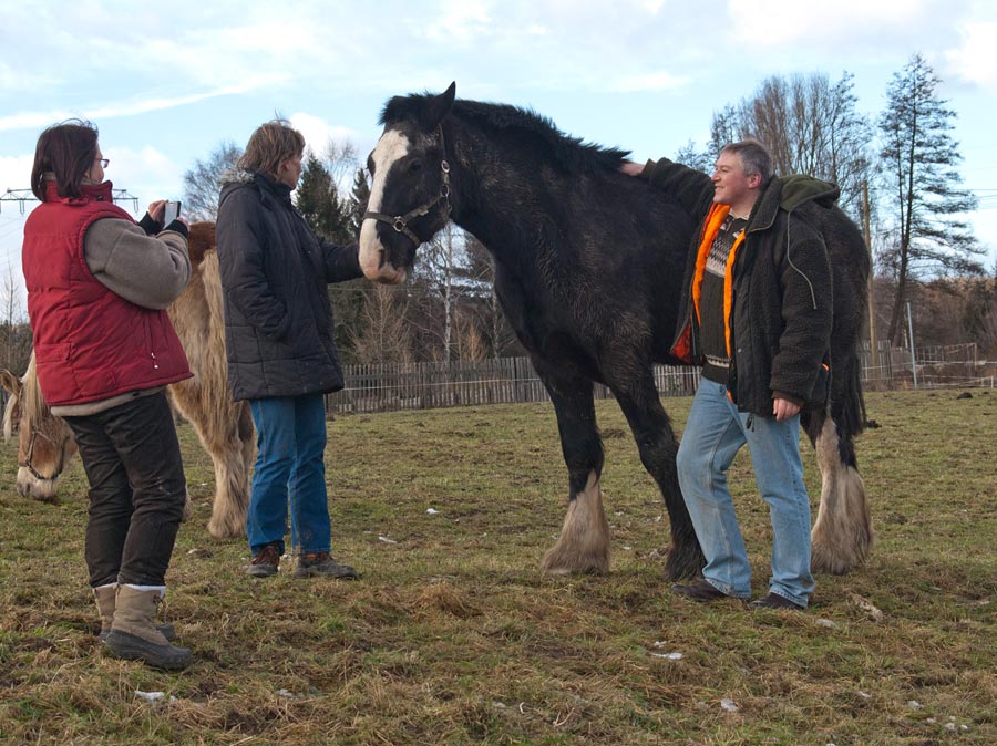 Gestern durften wir die starken Pferde der mehrfachen Meisterin im Holzrücken, Anke Siemandel, im Harz besuchen. "Ganz schön viel Pferd!", wenn man erstmals danebensteht (und Balu ist mit seinen vier Jahren fast noch ein Baby).