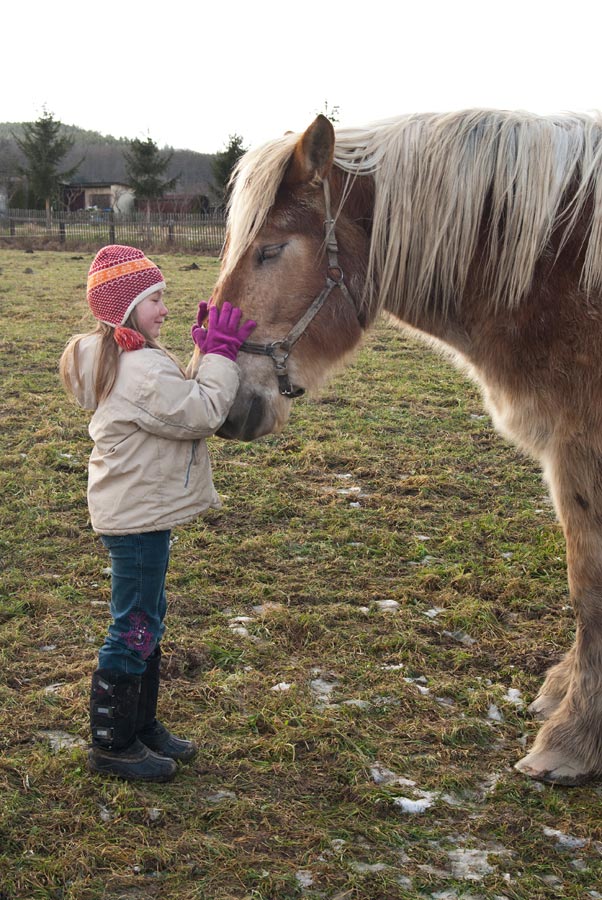 Johanna schmust mit starkem Pferdchen