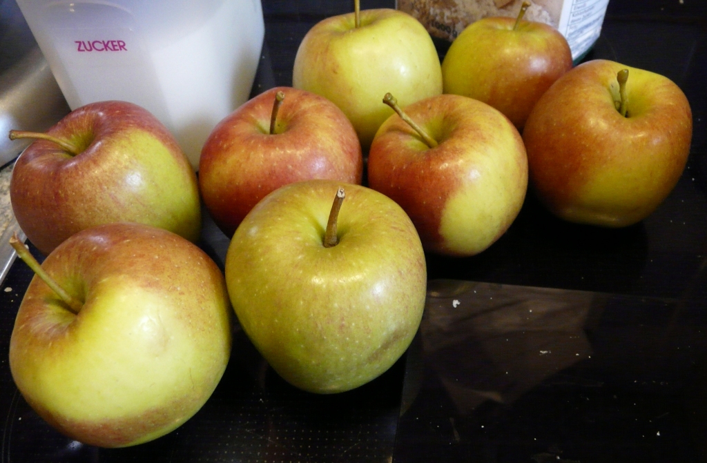 OBM Apfel-Pudding2.JPG