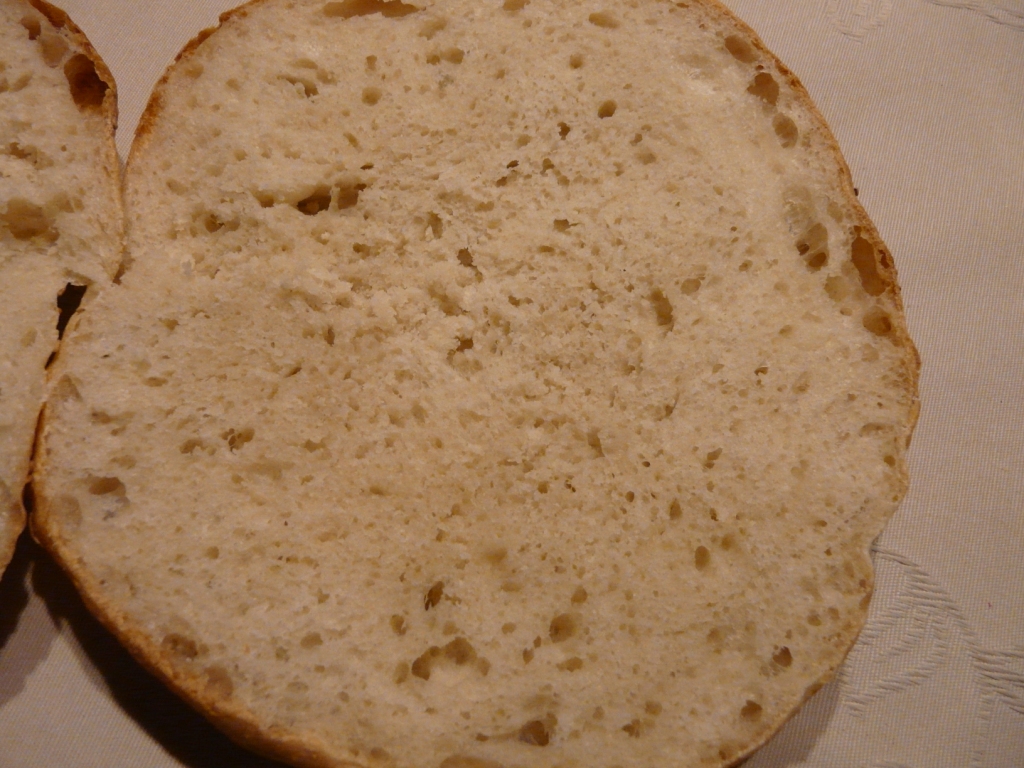 Muffa3.JPG