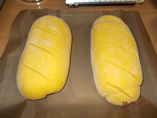 DSCN0520.JPG