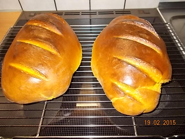 DSCN0521.JPG