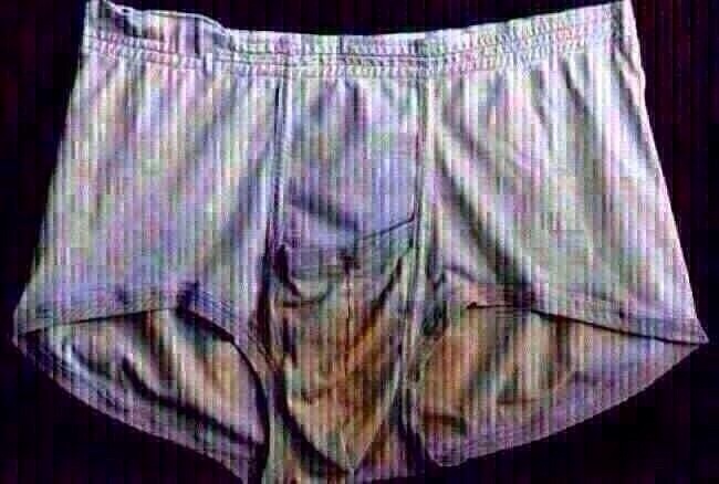 boxerAbzugeben.JPG