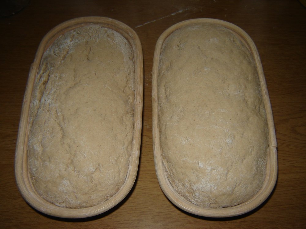 brot01.jpg