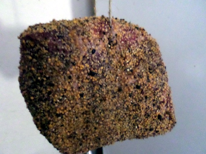 cappo.jpg