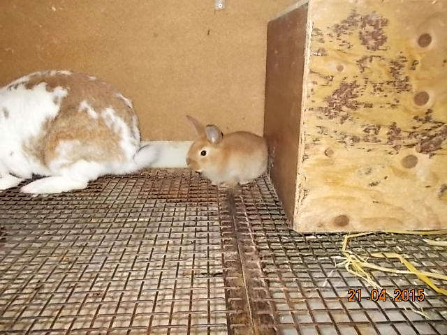 DSCN0736.JPG