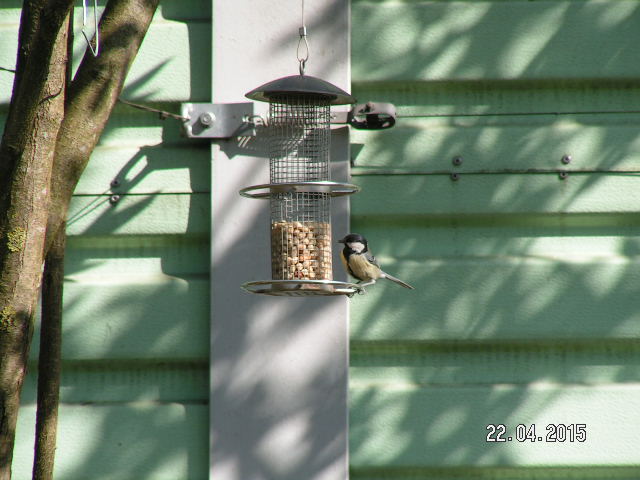 PICT0373.JPG
