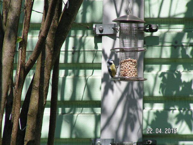PICT0389.JPG
