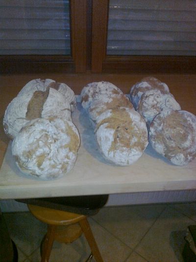 Die Krust ist zu hell, sonst war es gut.