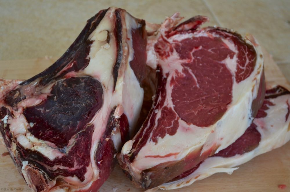 dry aged versuch tag 32.jpg