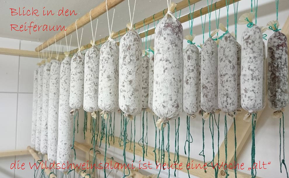 wieder was mit Wildschwein