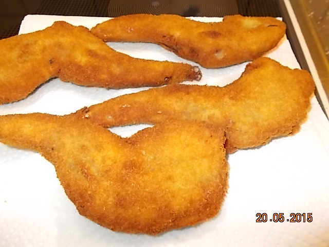 11OCM Mai2015-006.JPG