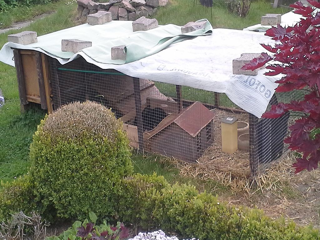 20150521_103413.jpg