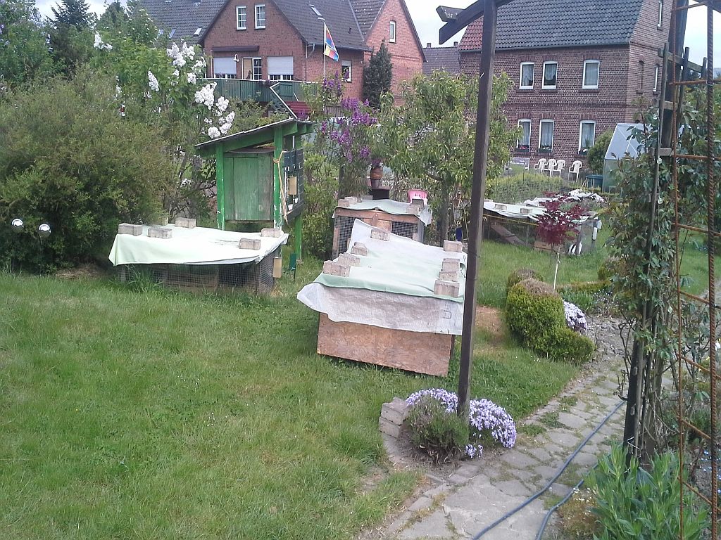 Gesamt Ansicht des Karnickeldorfes