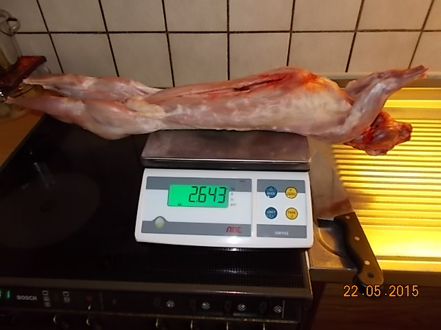 DSCN0856.JPG