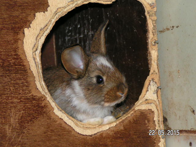 PICT0444.JPG