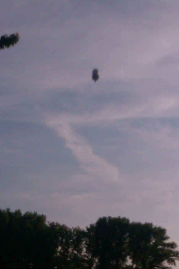 IMAG0456.jpg