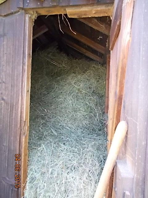 DSCN0964.JPG