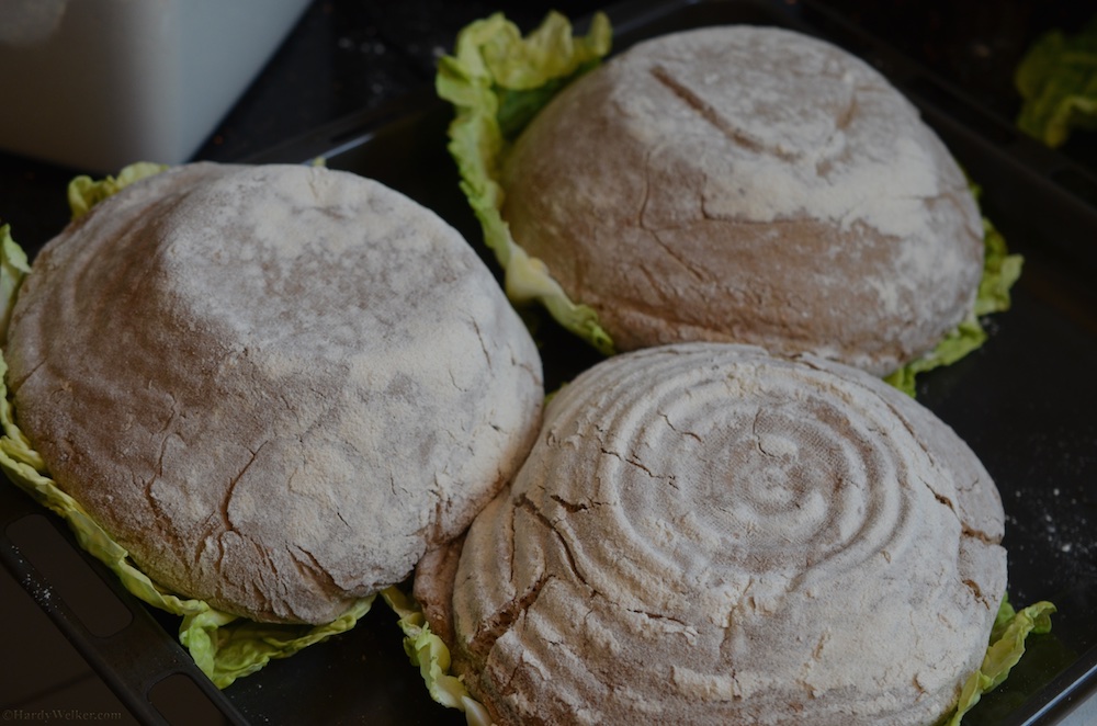 Kohlbrot 2. Versuch 4.jpg