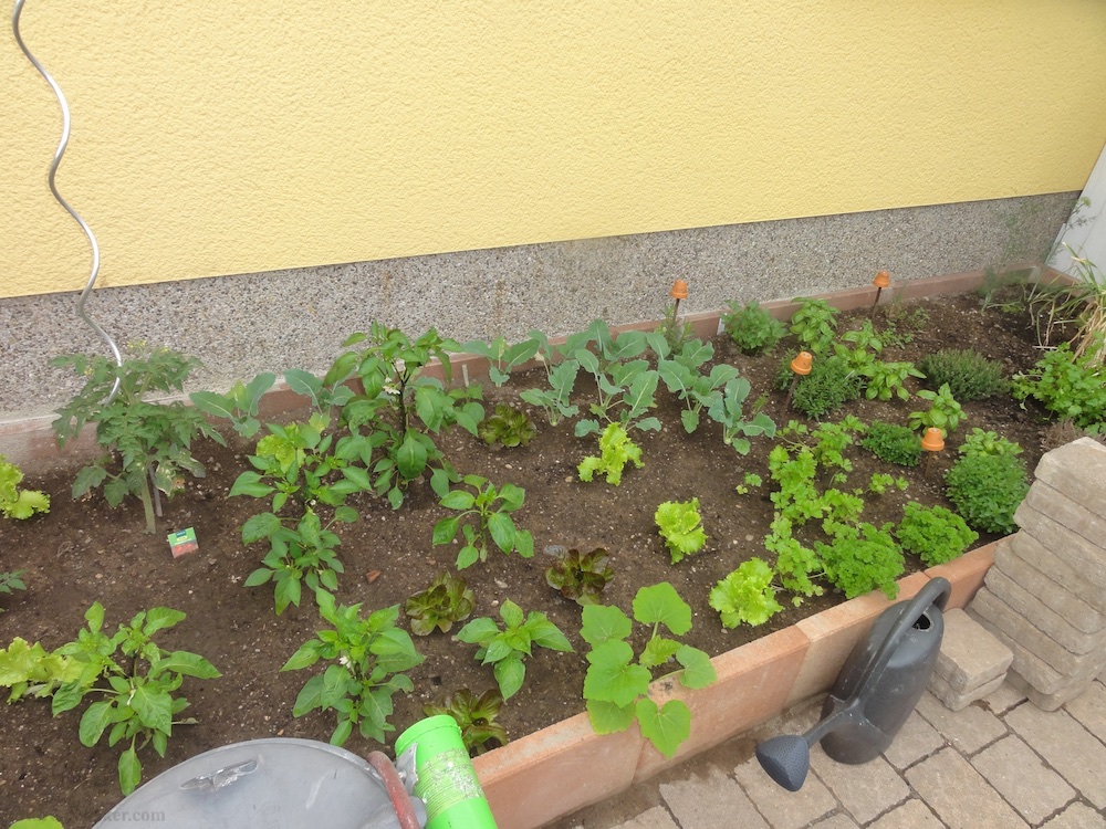 Steinbackofen Deutschland 1. Abschnitt 7.jpg