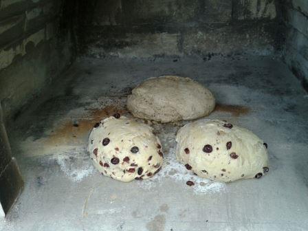 Erstes Brot,<br />Weißbrot mit Cranberrys und Dinkelbrot!