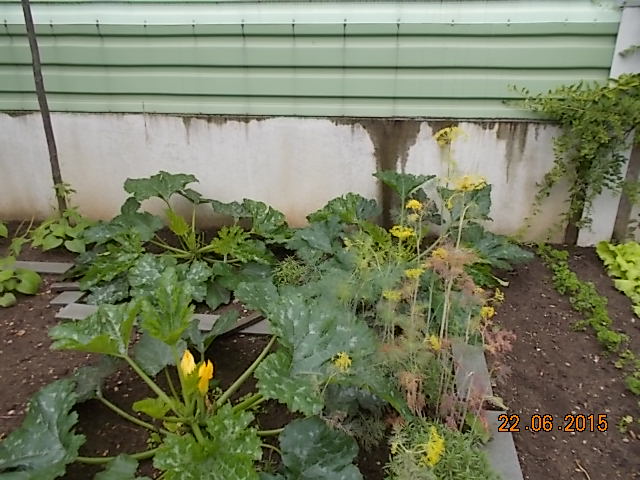 DSCN1019.JPG