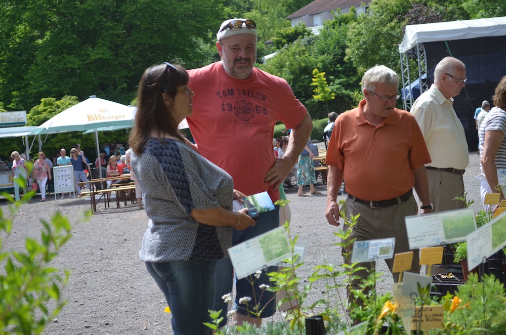 Finkenrech Garten Dirmingen.jpg