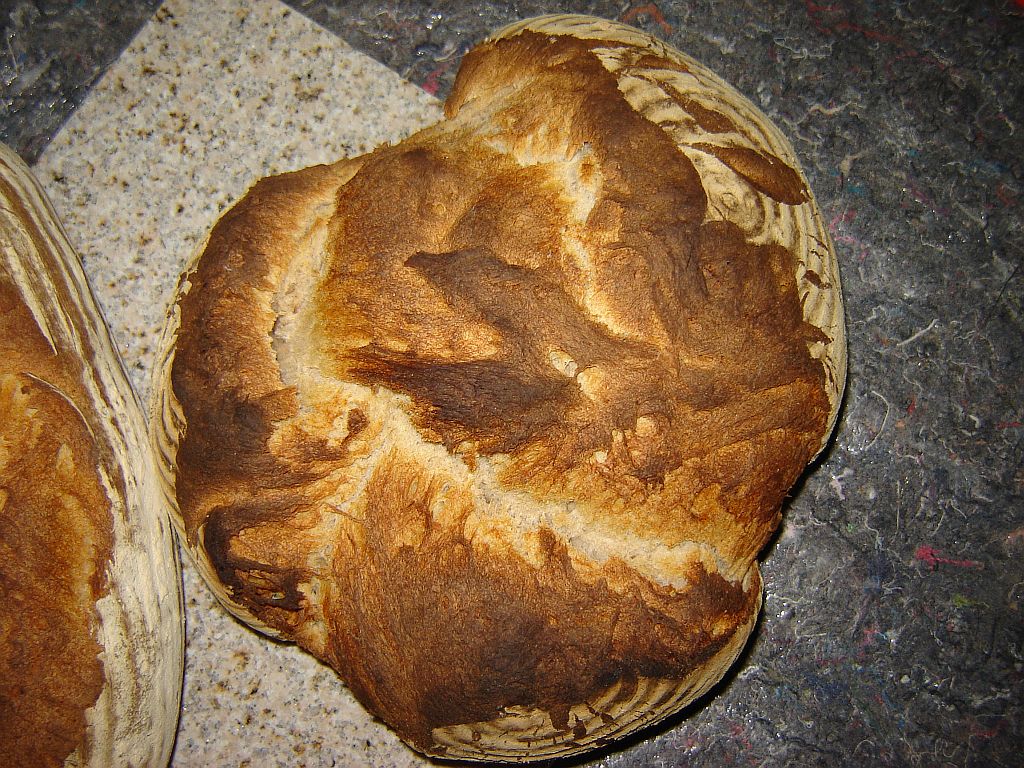 Steinofenbrot-15-07-19-02.jpg