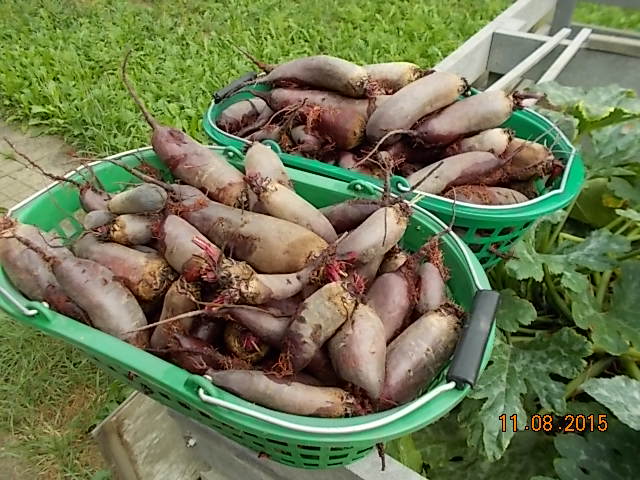 DSCN1180.JPG