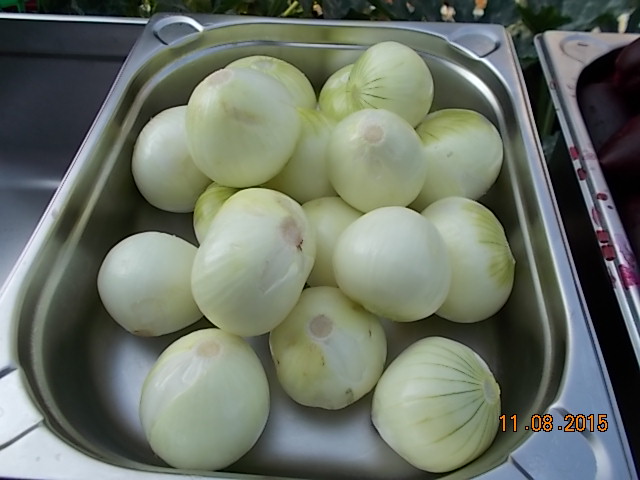 DSCN1182.JPG