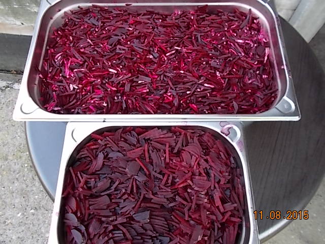 DSCN1183.JPG
