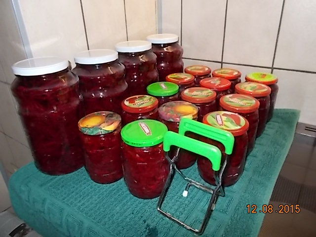 DSCN1185.JPG