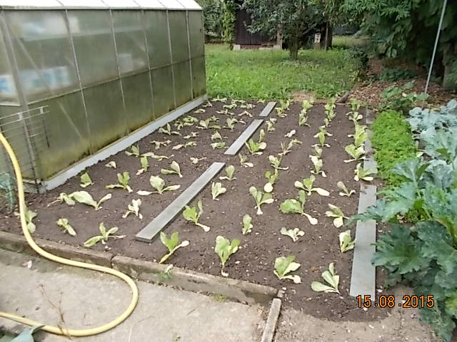 DSCN1189.JPG
