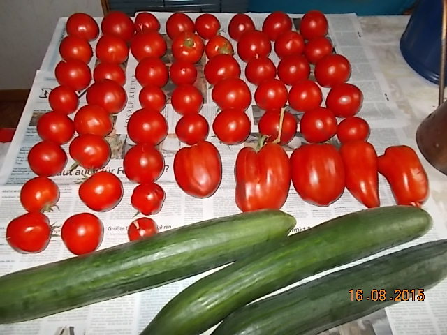 DSCN1192.JPG
