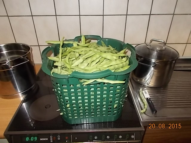 DSCN1211.JPG