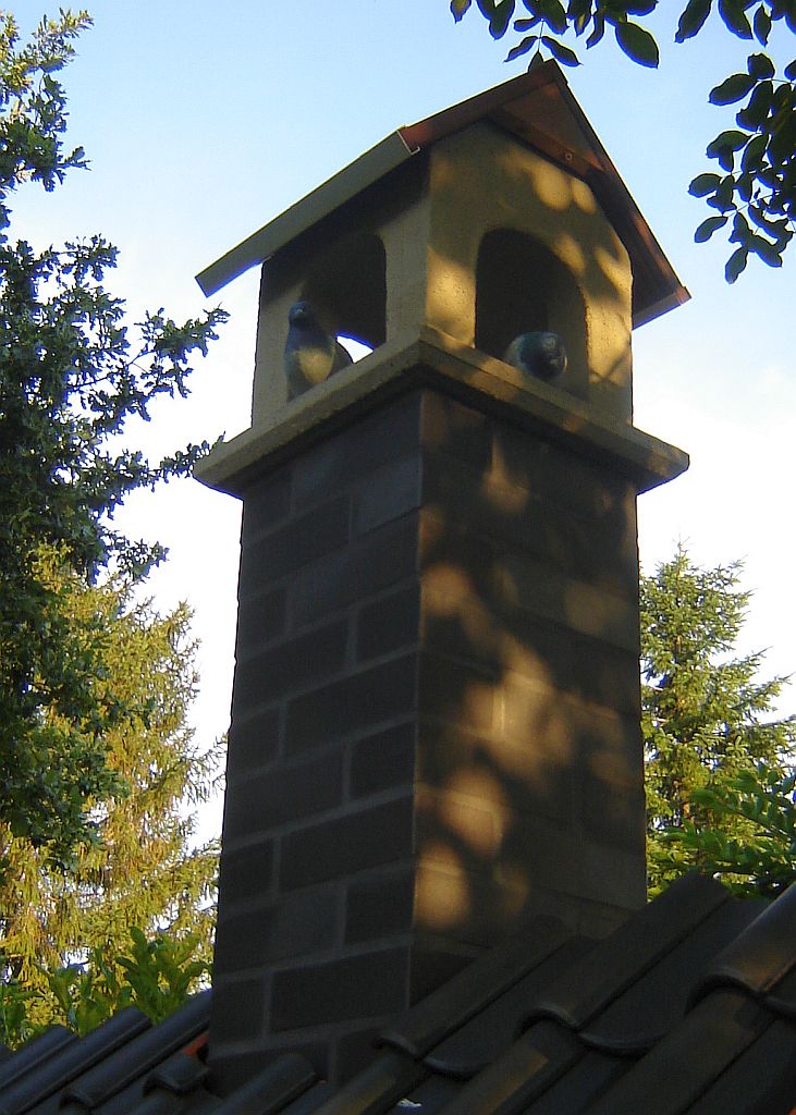 Restarbeiten Steinbackofen 04.jpg