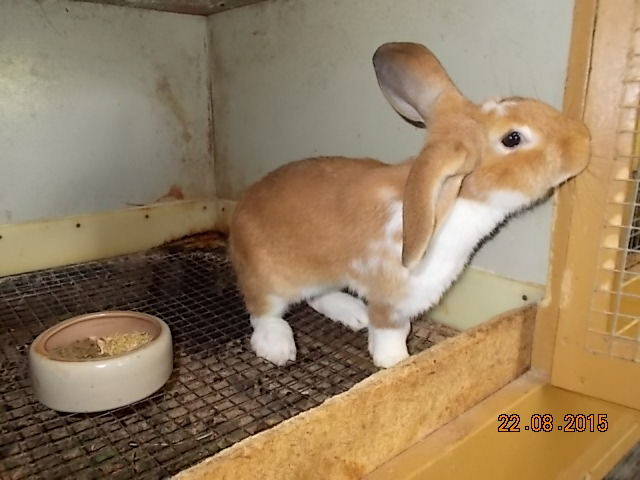 DSCN1229.JPG